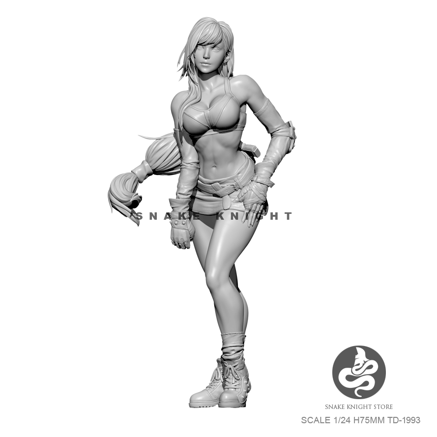 1/24 Analyste De Résine Figure - Model Kit Baki avis et prix