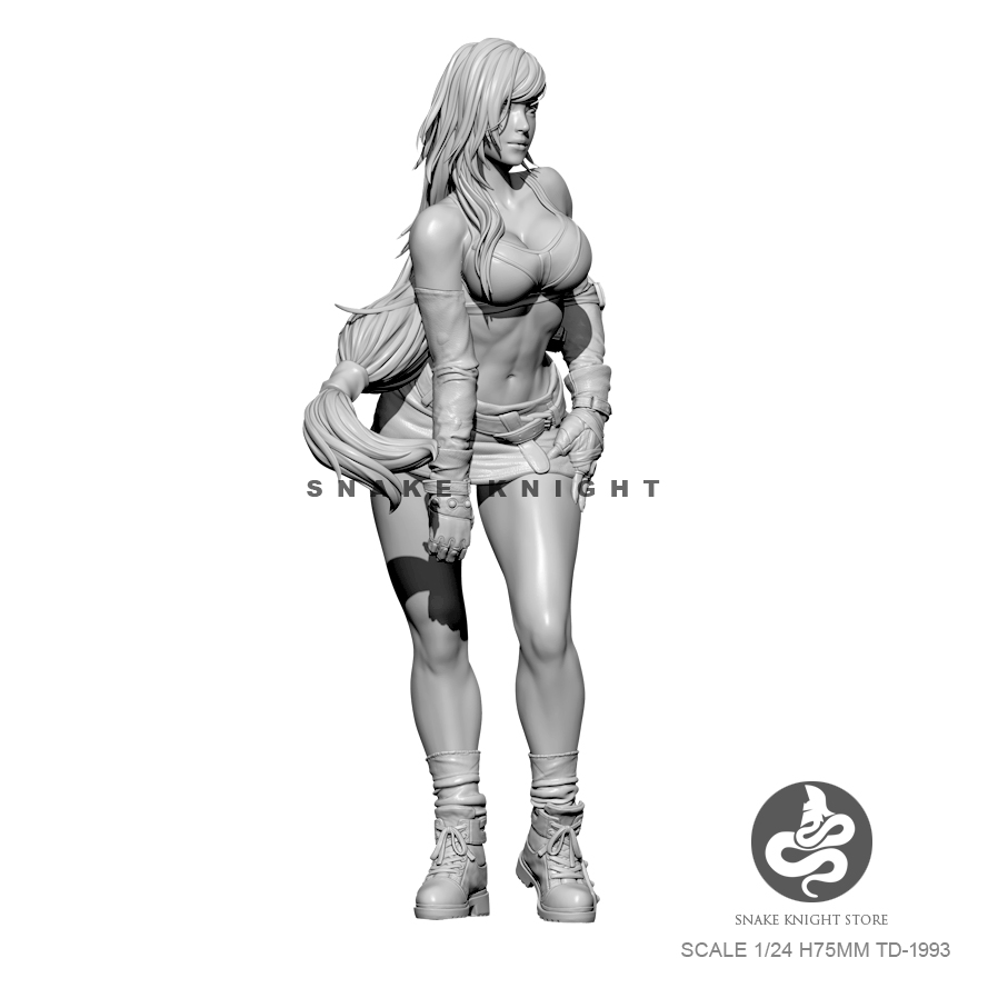 1/24 Analyste De Résine Figure - Model Kit Baki avis et prix